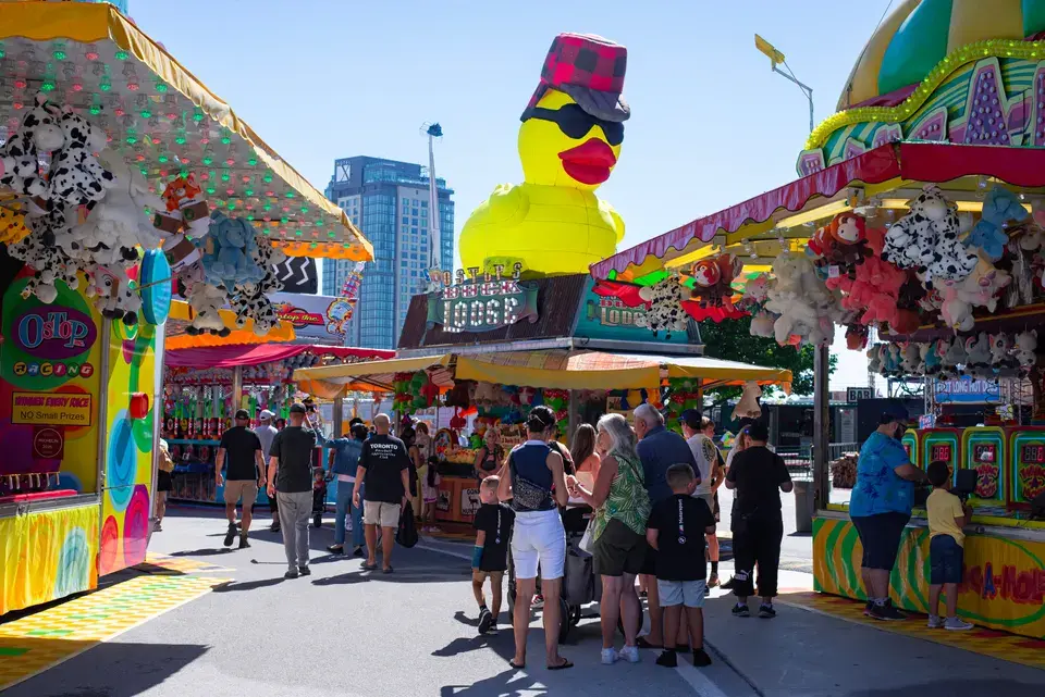 About Paradise, Nevada: A Hub of Activity — Paradise, NV